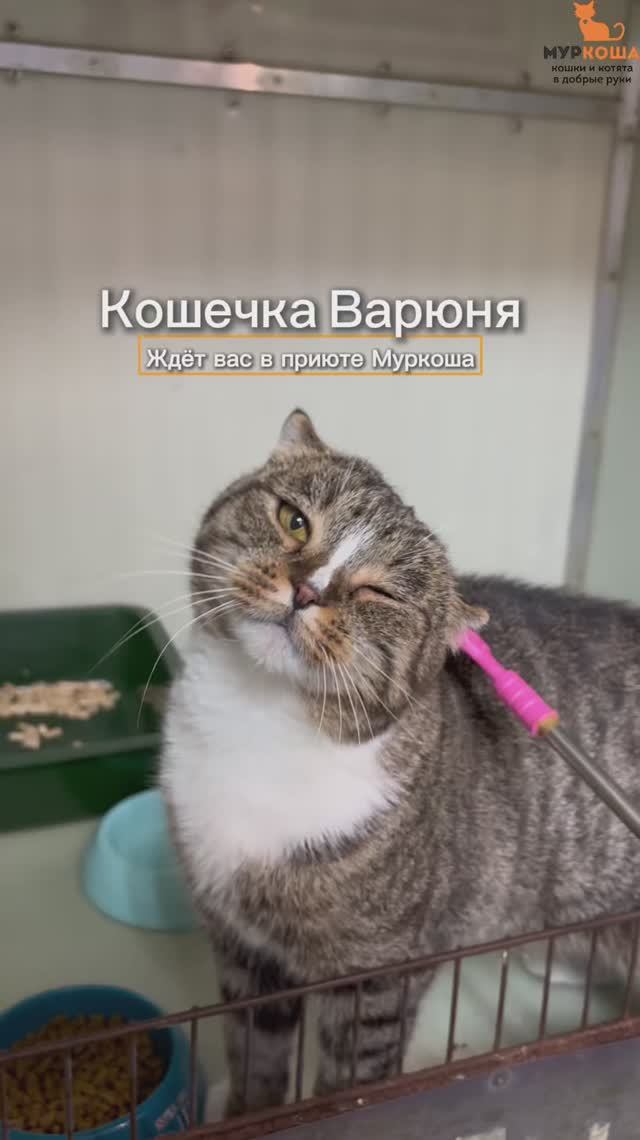 Варюня (уже дома)