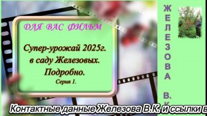 Супер-урожай 2025г. в саду Железовых. Подробнео. Серия 1.