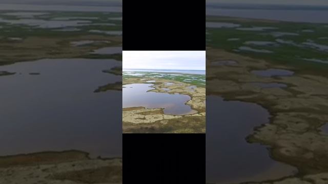 VID-20251005-WA0000.mp4 смотреть онлайн