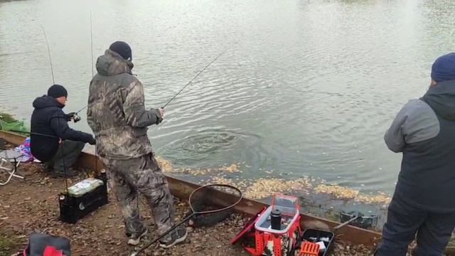 WhatsApp Video 2025-10-12 at 09.58.13 смотреть онлайн