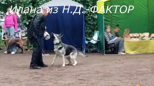 ИЛАНА выражено ПРК ЦВЕО 21.09.25 смотреть онлайн