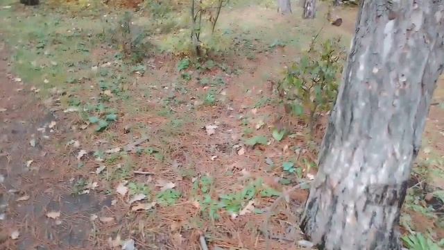 Зона сталкера.часть 3