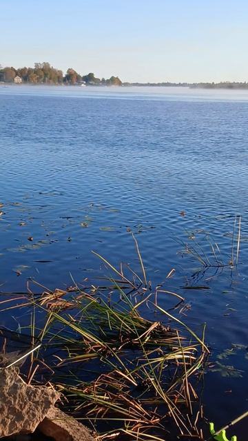 Утро на реке.