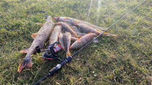 ЩУКА, ОКУНЬ НА МИКРОДЖИГ ОСЕНЬЮ