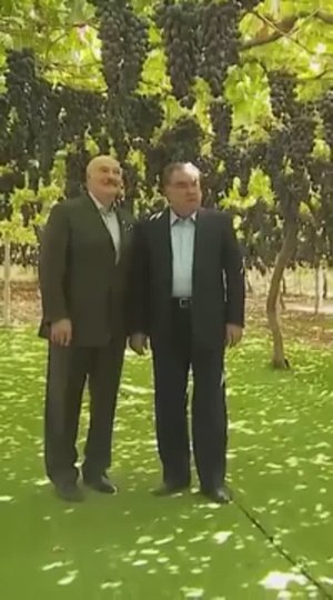 Вот это кишмиш!