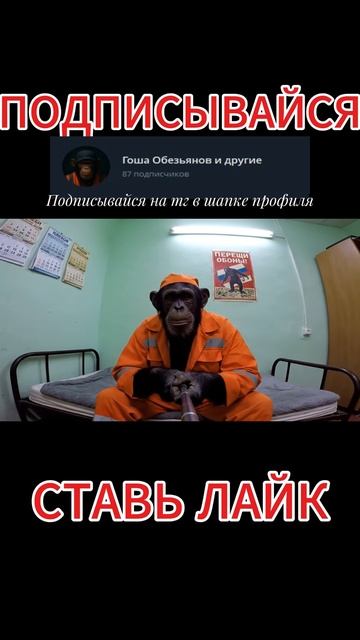 Братья Обезьяновы пожарные