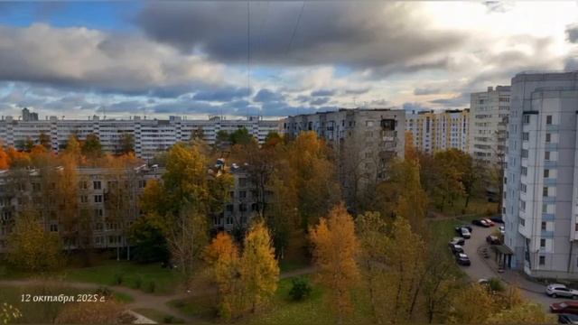 Новейший нейроклип "Забор меня не остановит" смотреть онлайн