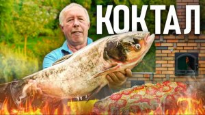 Коктал из толстолобика в дровяной печи