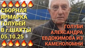 🔥🔥🔥 Сборная ярмарка голубей в г.Шахты 05.10.25. Голуби Александра Евдокимова из Каменоломни.