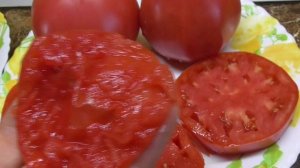 Томат Фиделио проверен временем. Жаростойкий и холодостойкий одновременно. №262. ДЕГУСТАЦИЯ СОРТА.