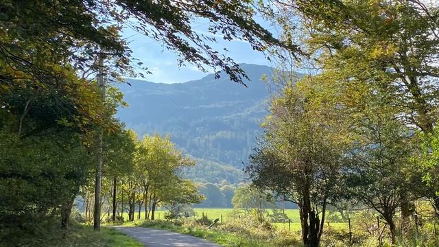 Killarney ,national Park,Ireland