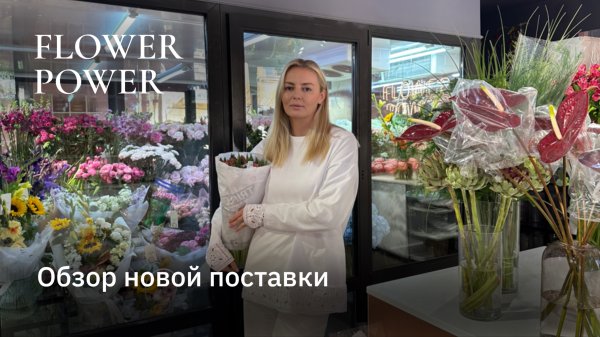Что новенького у Flower Power