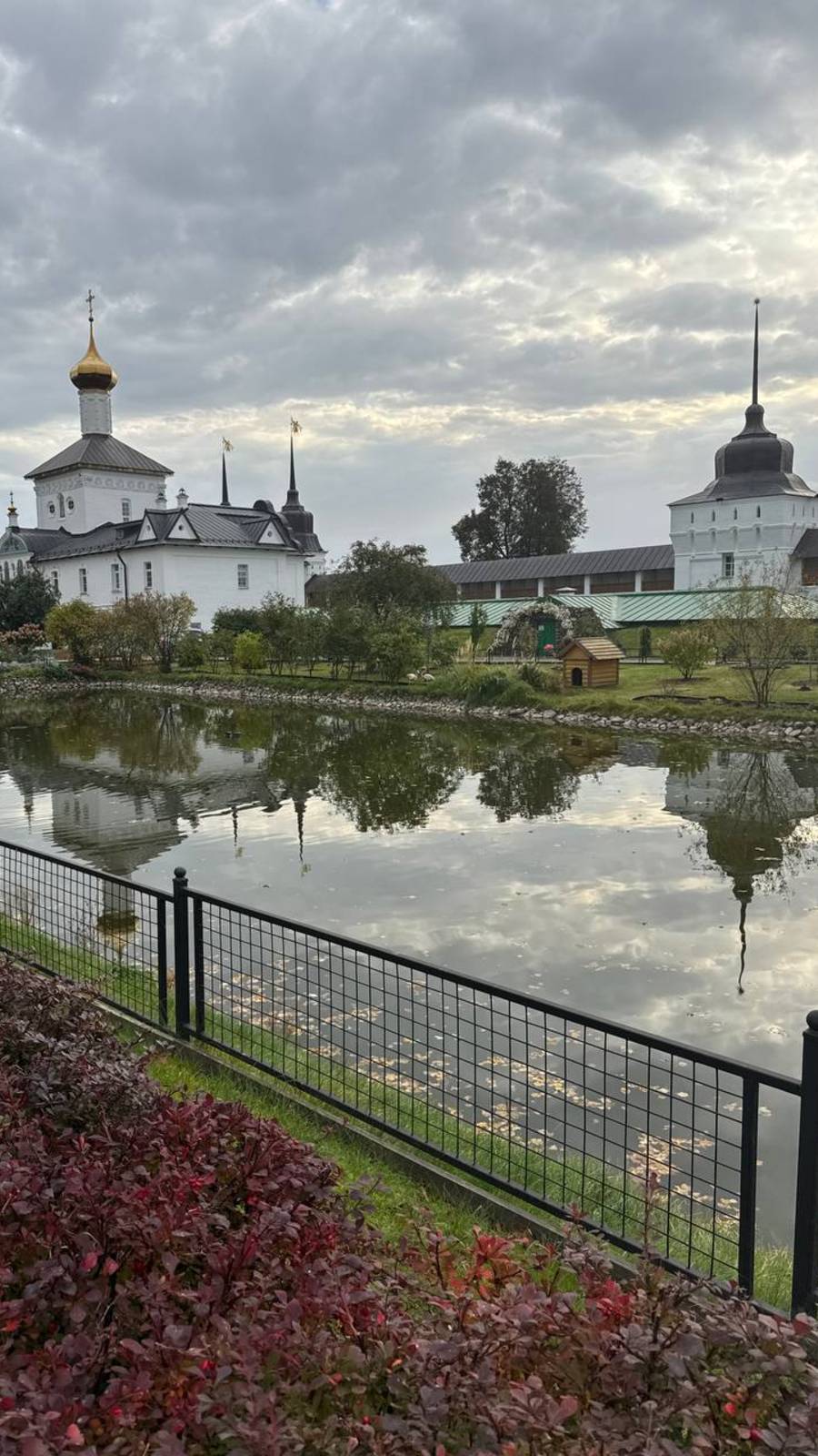 Как мы съездили в Толгу