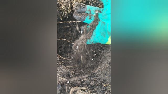 Не оставляйте мульчу в теплице сухой! смотреть онлайн