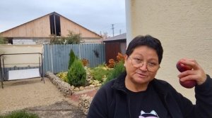 12.10.2025г./ 1 часть// СОСКУЧИЛАСЬ ПО СВОЕМУ САДУ, / ПОКАЖУ ЧТО КУПИЛИ.ОБЫЧНАЯ ЖИЗНЬ В СЕЛЕ