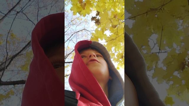 мы с папой влиске вотэта коньтент.mp4