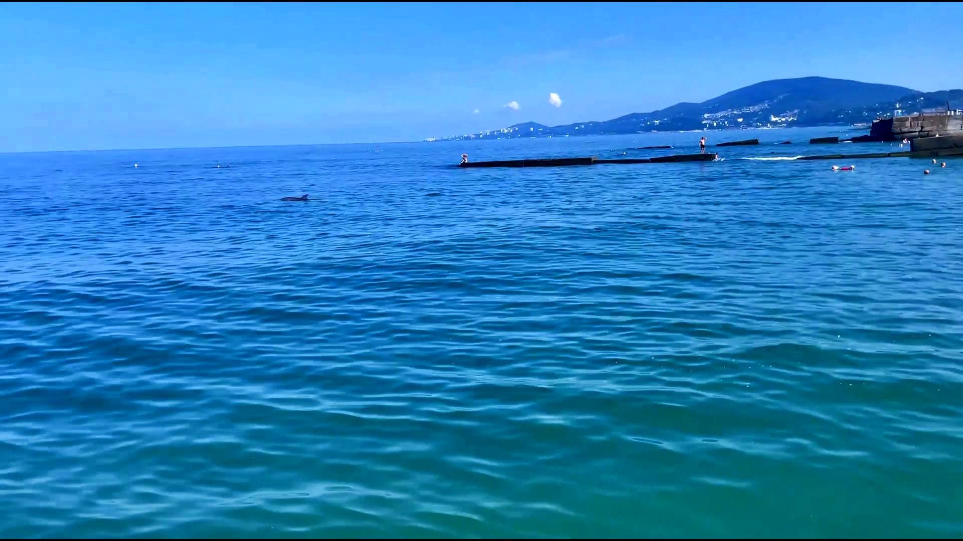 ЛЕТО. СОЧИ. МОРЕ. смотреть онлайн