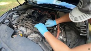 Реднек из Каролины: Купил гибридного финика