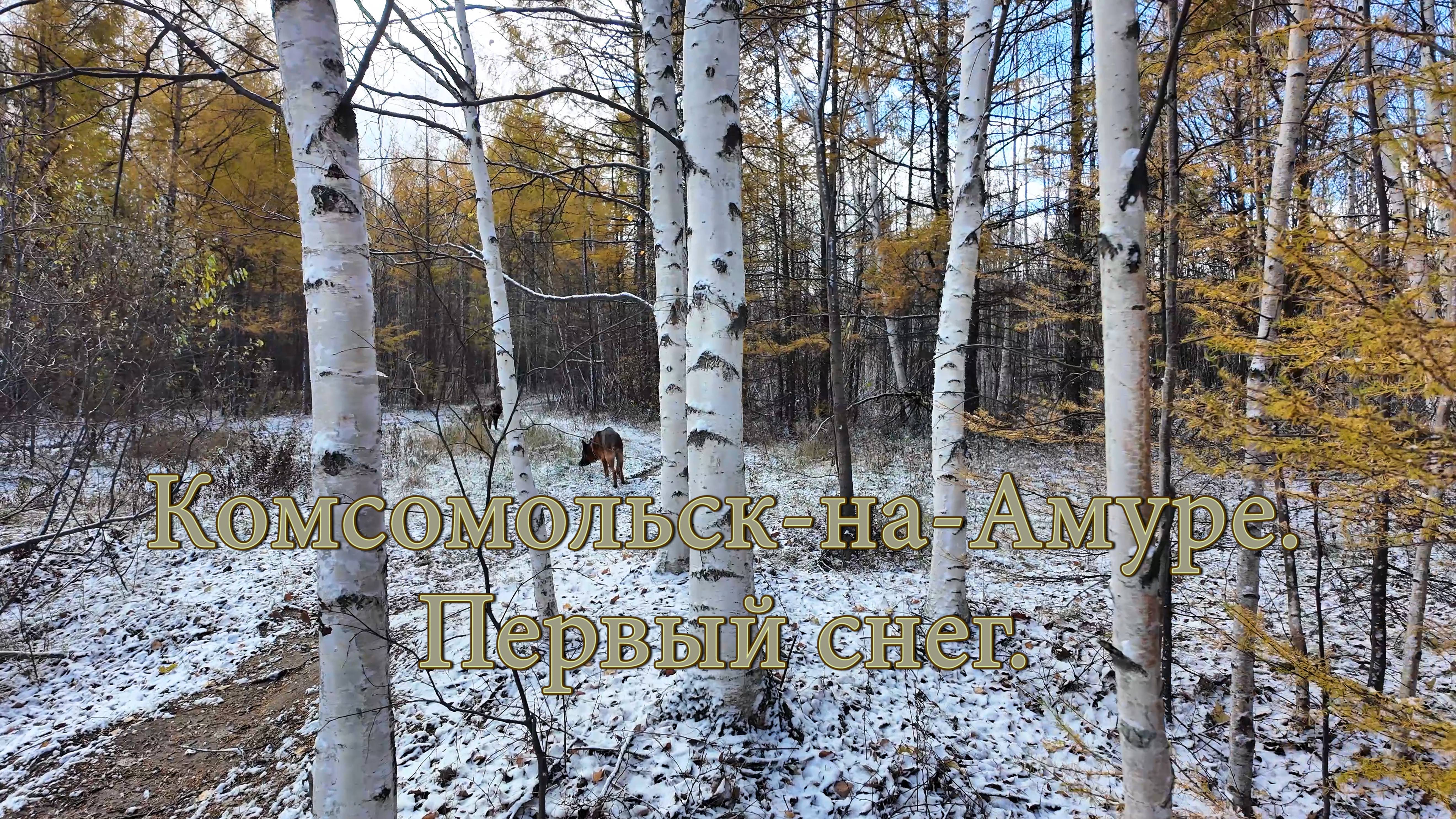 Комсомольск-на-Амуре. Лес. Первый снег. смотреть онлайн
