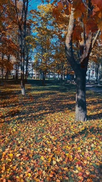 Последний аккорд осени