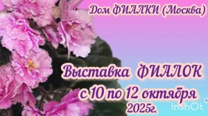 ФИАЛКИ - 2025. Выставка в Доме Фиалки с 10 по 12 октября 2025г. (Москва)