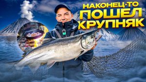 Дождались, рыба пошла! Мощные финты, подарки от Игоря Контента,жарим рыбу на костре. Рыбалка мечты!