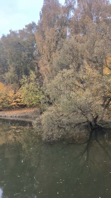 Осенний пруд смотреть онлайн