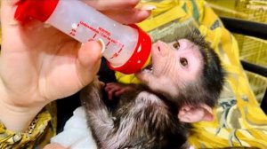 ХОРОШАЯ НОВОСТЬ! Анфиса теперь САМА КУШАЕТ свою кашку