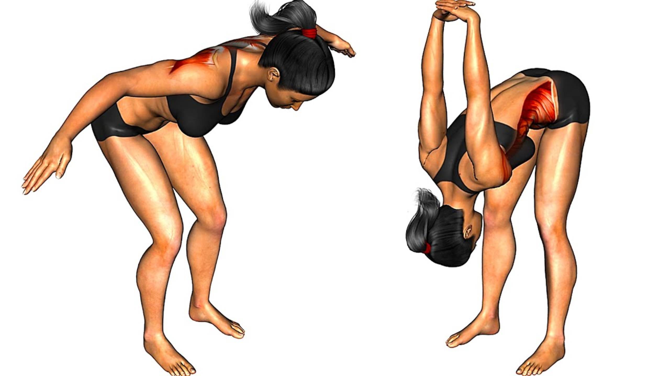 15 утренних упражнений на растяжку для женщин 45+ смотреть онлайн