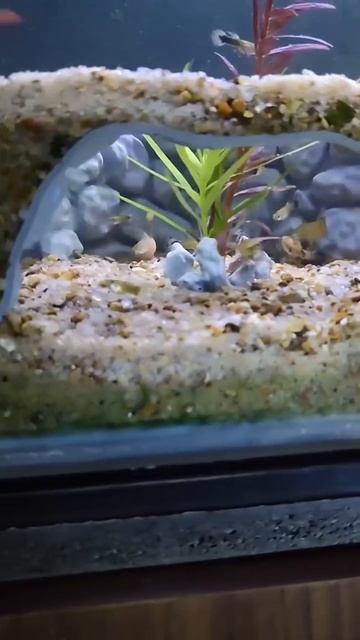 Нора_пользуется_спросом_😁 смотреть онлайн