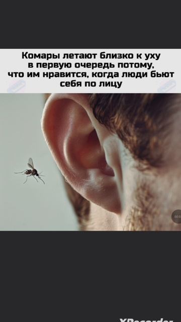 А что рил смотреть онлайн