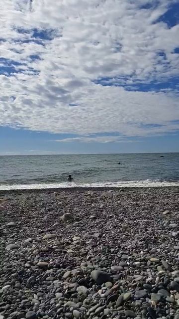 Море в октябре, Адлер смотреть онлайн