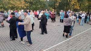 Падают листья....... 11.10.25 Гомель парк Луначарского 🥰💫