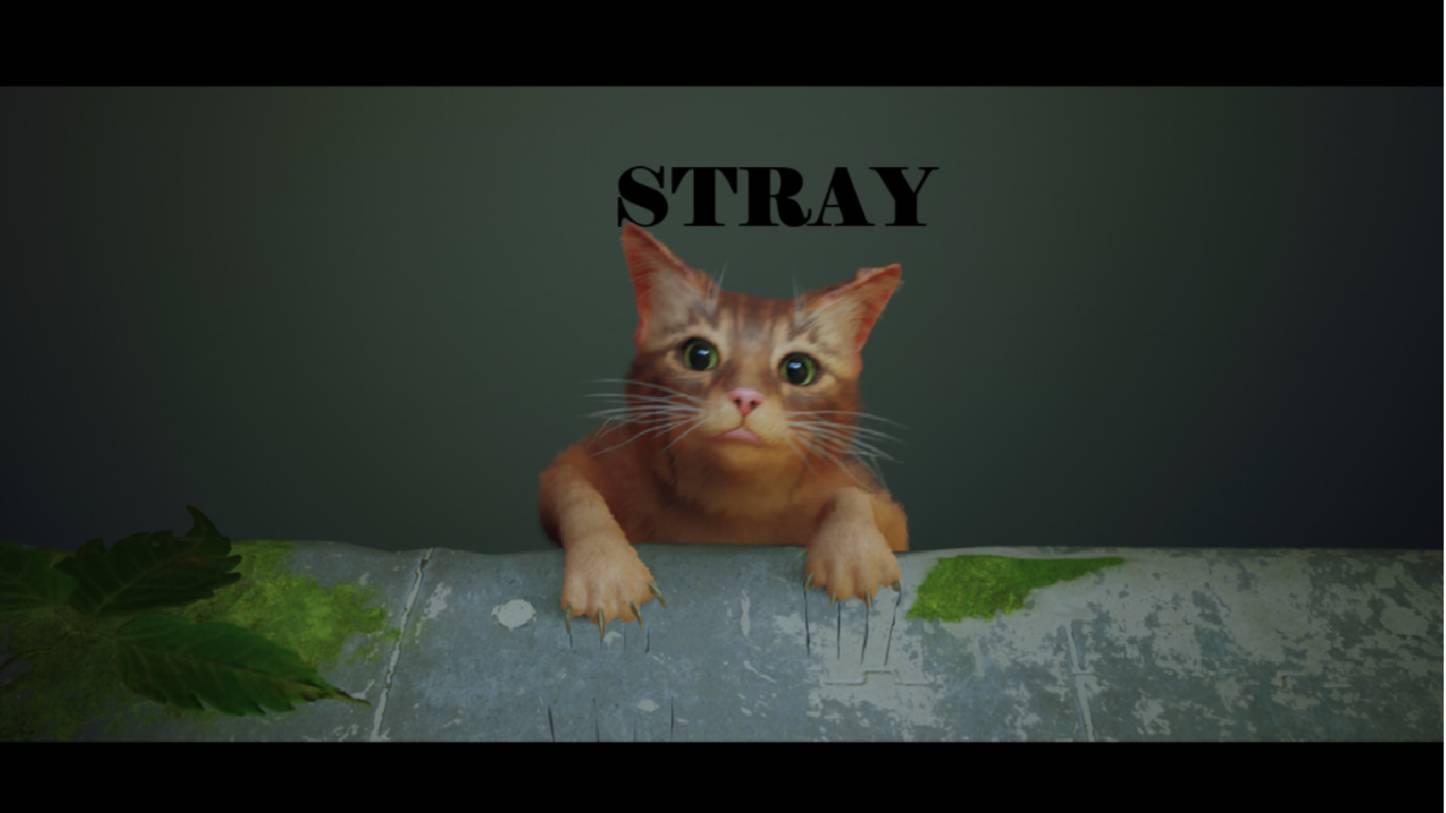 STRAY: PART 1 смотреть онлайн