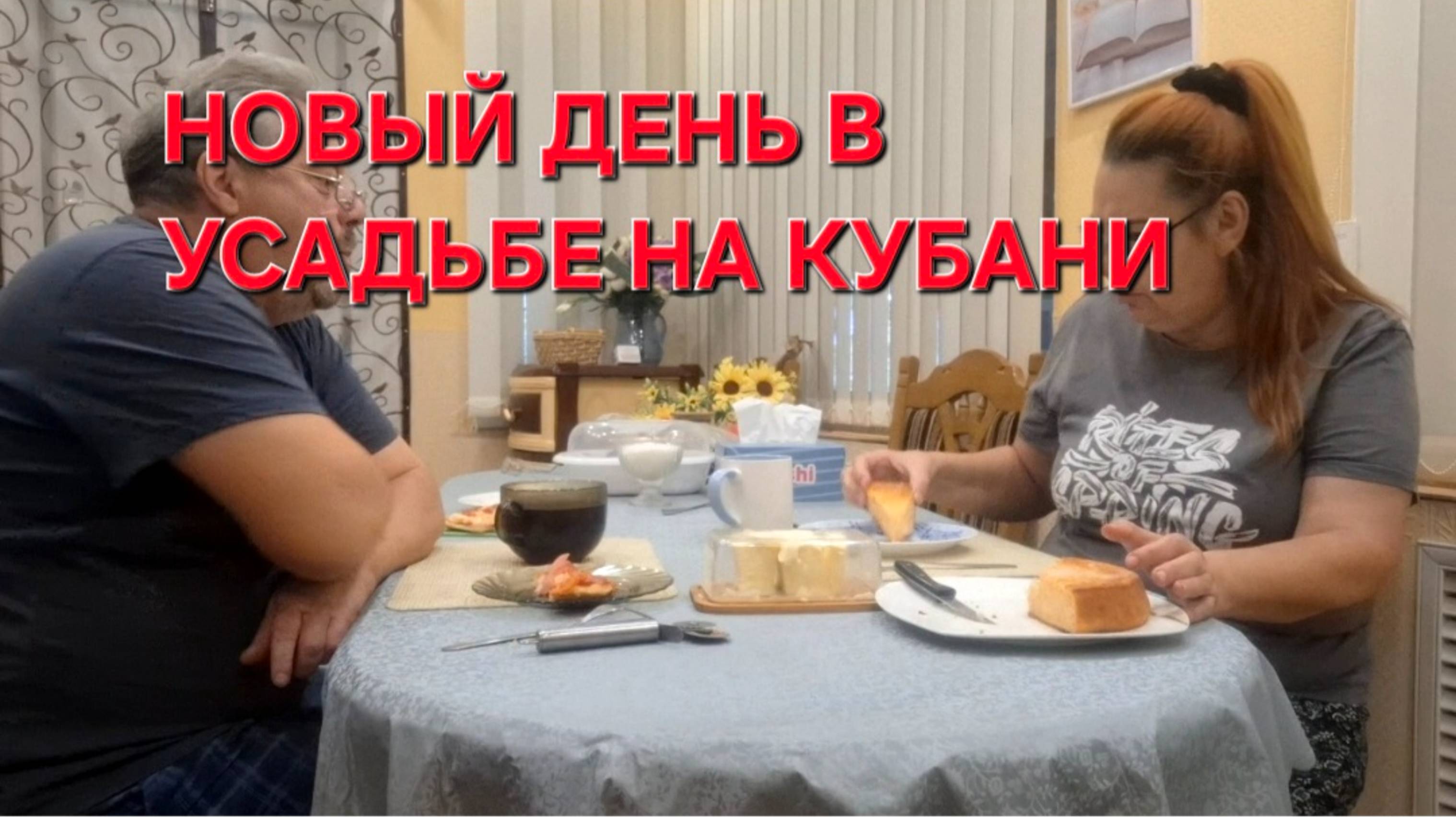 813 Переехали жить из города в станицу на юге. Чтобы не одичать.Нам это не нужно. смотреть онлайн