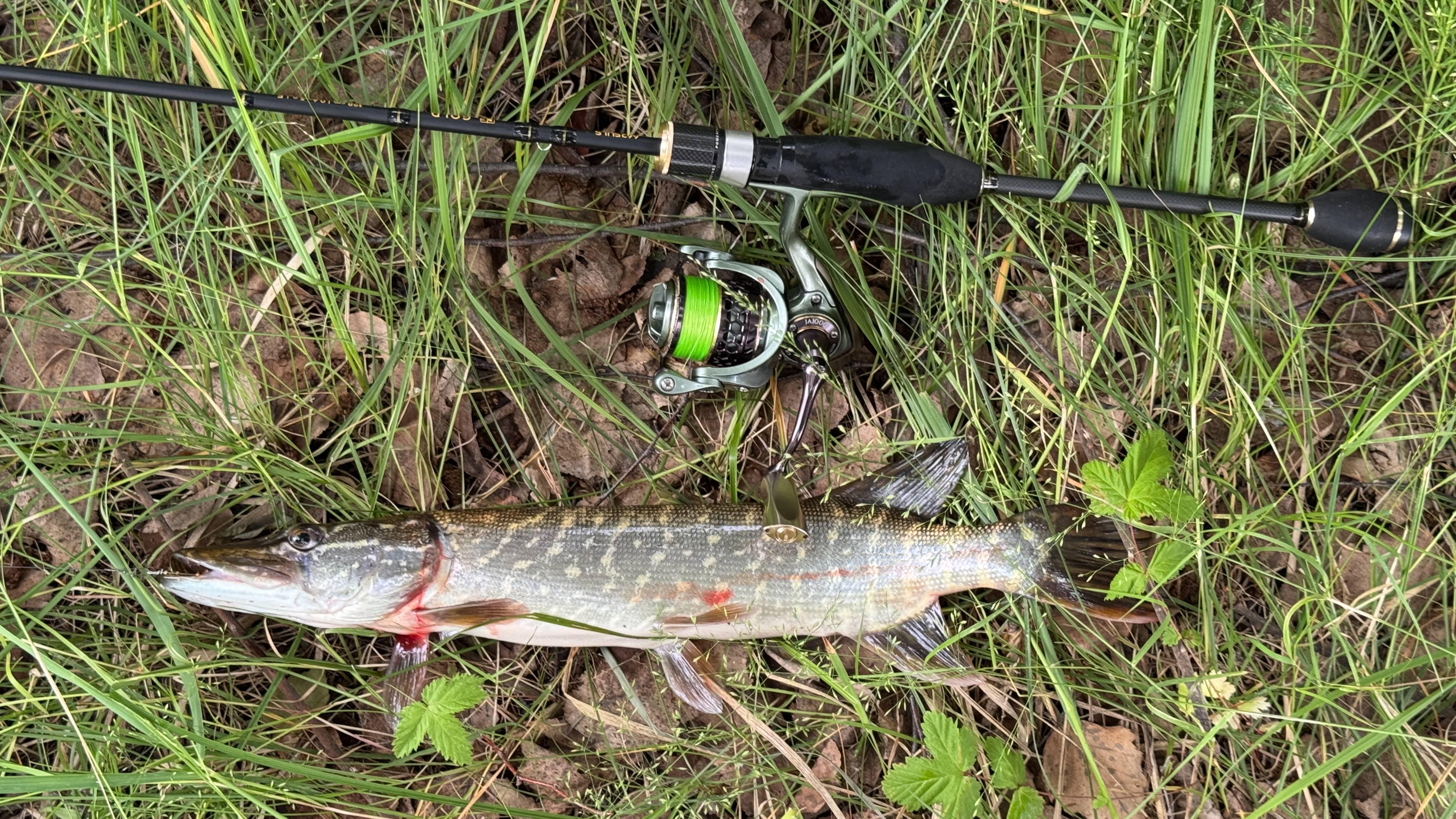 Рыбалка на спиннинг с лодки вдоль камышей. Рыбалка на блесны. Рыбалка на спиннинг. Блесна.