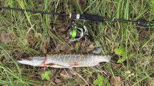 Рыбалка на спиннинг с лодки вдоль камышей. Рыбалка на блесны. Рыбалка на спиннинг. Блесна.