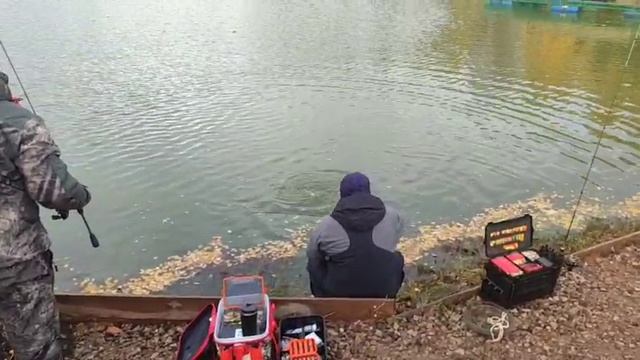 WhatsApp Video 2025-10-12 at 10.01.20 смотреть онлайн