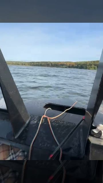 реплика свиммер