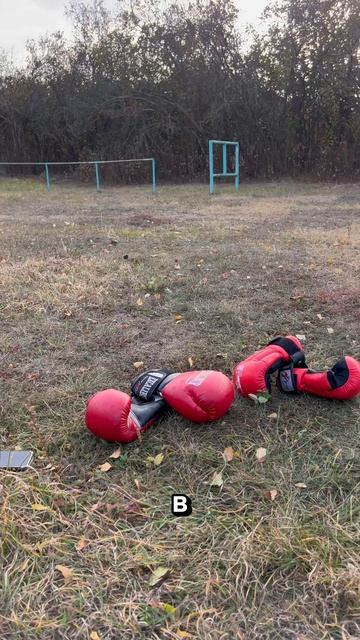 Когда любишь ЧИПСЫ!🤩 смотреть онлайн