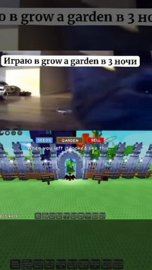 Кот и вырасти сад