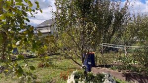 Дожди на Кубани. Про грибы. Дом на юге