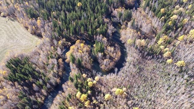 Бурятская песня Гансахан шамай (Только ты) . Видеоряд - Осень в Бурятии