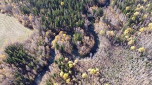 Бурятская песня Гансахан шамай (Только ты) . Видеоряд - Осень в Бурятии