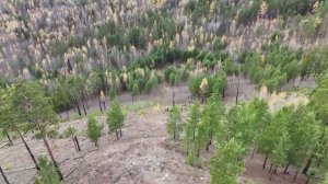 Сопка Высотка.👀