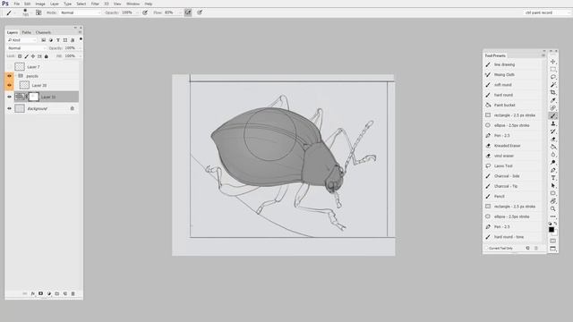 03 - Using Tone to Describe Form смотреть онлайн