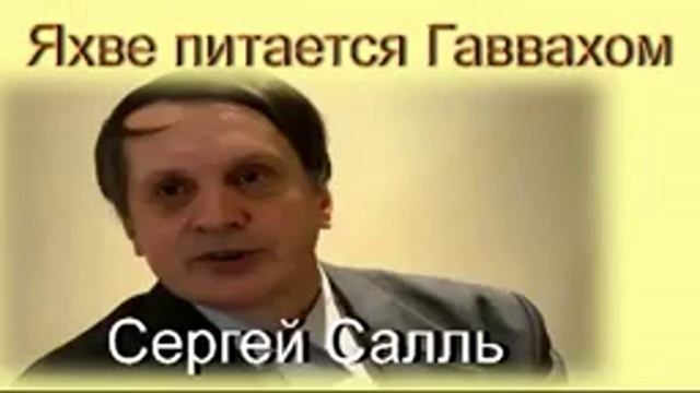 Яхве питается Гаввахом. Часть 3. С. А. Салль смотреть онлайн
