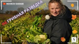 НЕ Грибная разведка 11 октября 2025. Капустный десант !