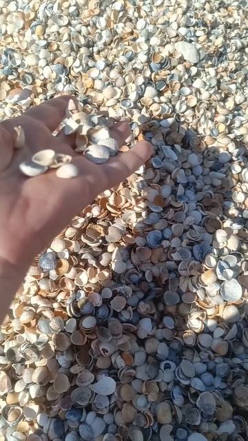 Отдых на Азовском море смотреть онлайн