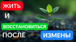 Преодолеть боль измены и восстановиться вопреки всему